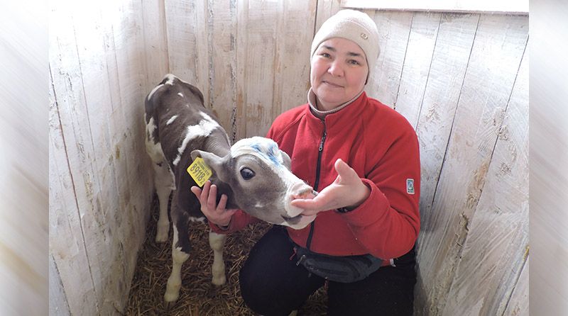 Телятница ОАО «Торгуны» Елена Корнилович: «Все, что делается с любовью, даёт хорошие результаты»