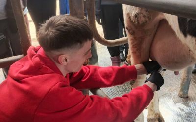 Будущие ветеринары: из аудитории  - на практику