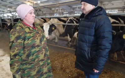 Зима, холода... Когда это не беда