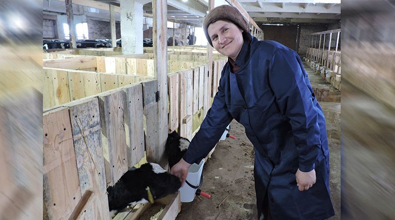 Новый телятник в КУСХП «АгроСитцы» возвели хозяйственным способом