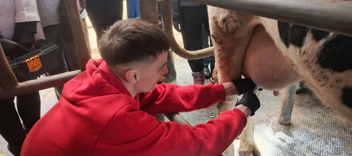 Будущие ветеринары: из аудитории  - на практику