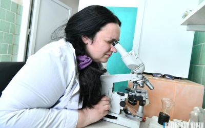 Единственный в Беларуси производитель безалкогольного сидра из Шумилино поставляет напитки в &laquo;Ашан&raquo;, &laquo;ВкусВилл&raquo; и на Ozon