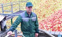 В Шумилино начнут выпуск пяти видов лимонада для &laquo;ВкусВилла&raquo; и &laquo;Яндекс-маркета&raquo;