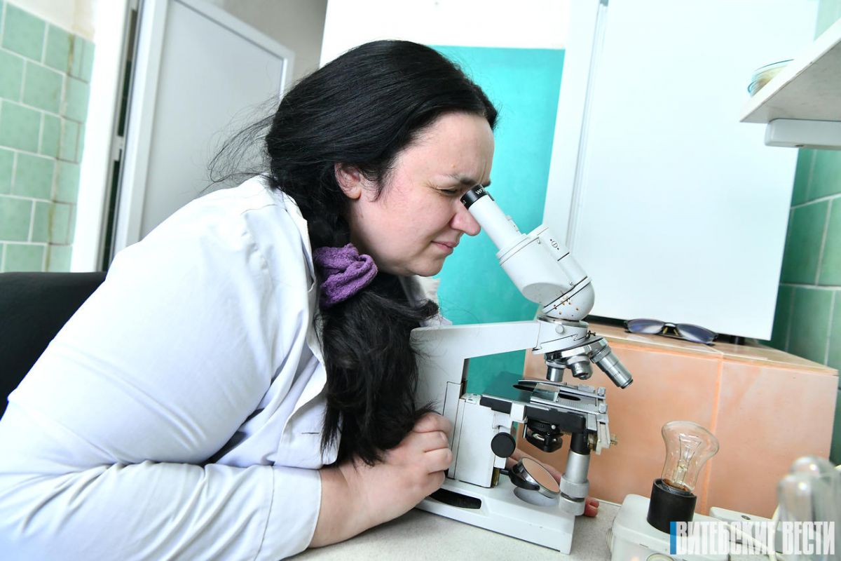 Единственный в Беларуси производитель безалкогольного сидра из Шумилино поставляет напитки в «Ашан», «ВкусВилл» и на Ozon